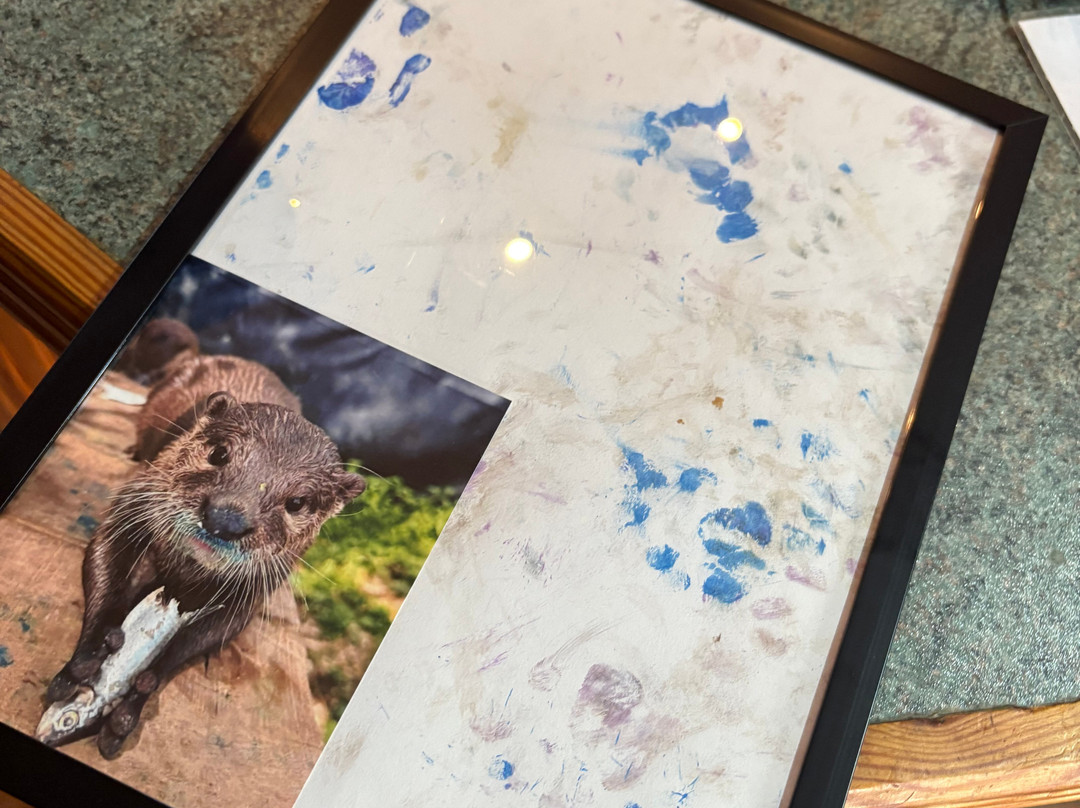 Ark Wildlife Park & Exotic Animal Sanctuary-Stickney必去景点