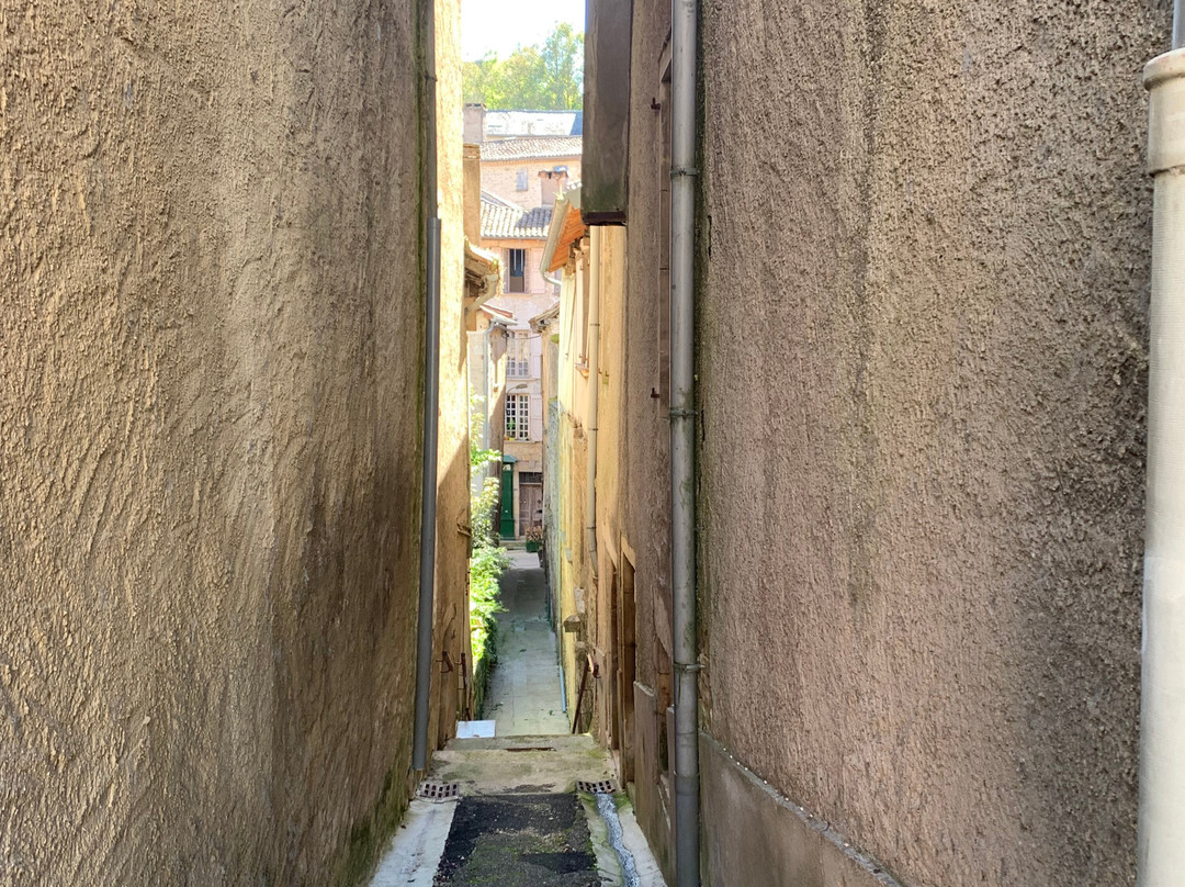 Les Savonniers主图