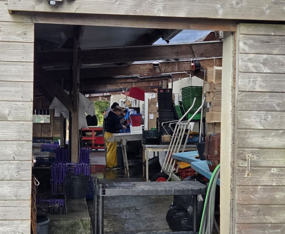 Aux Viviers de Penfoulic-La Foret-Fouesnant必去景点