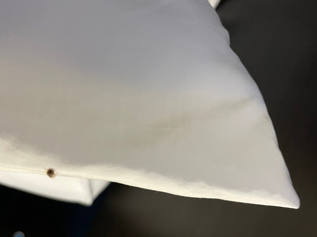 Holiday Inn & Suites Regina By IHG主图