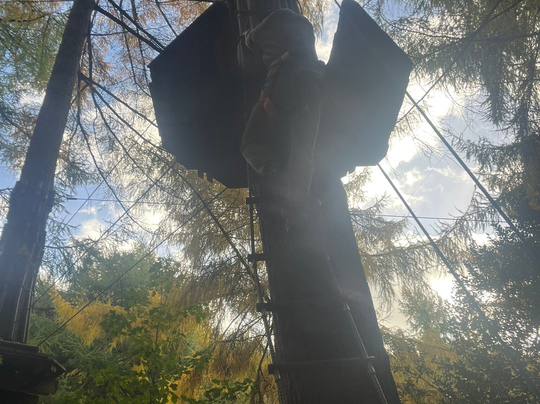 Go Ape Dalby-Thornton-Le-Dale必去景点