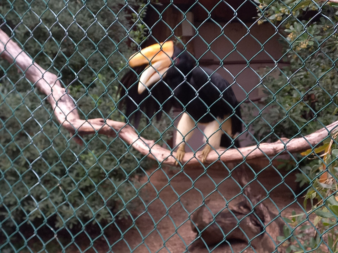 Jardin Zoologique Tropical-La Londe Les Maures必去景点