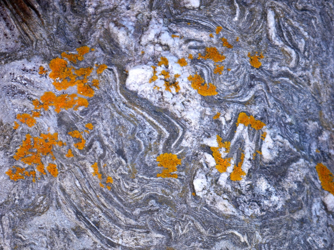 Marshall Point Lighthouse Museum-Port Clyde必去景点