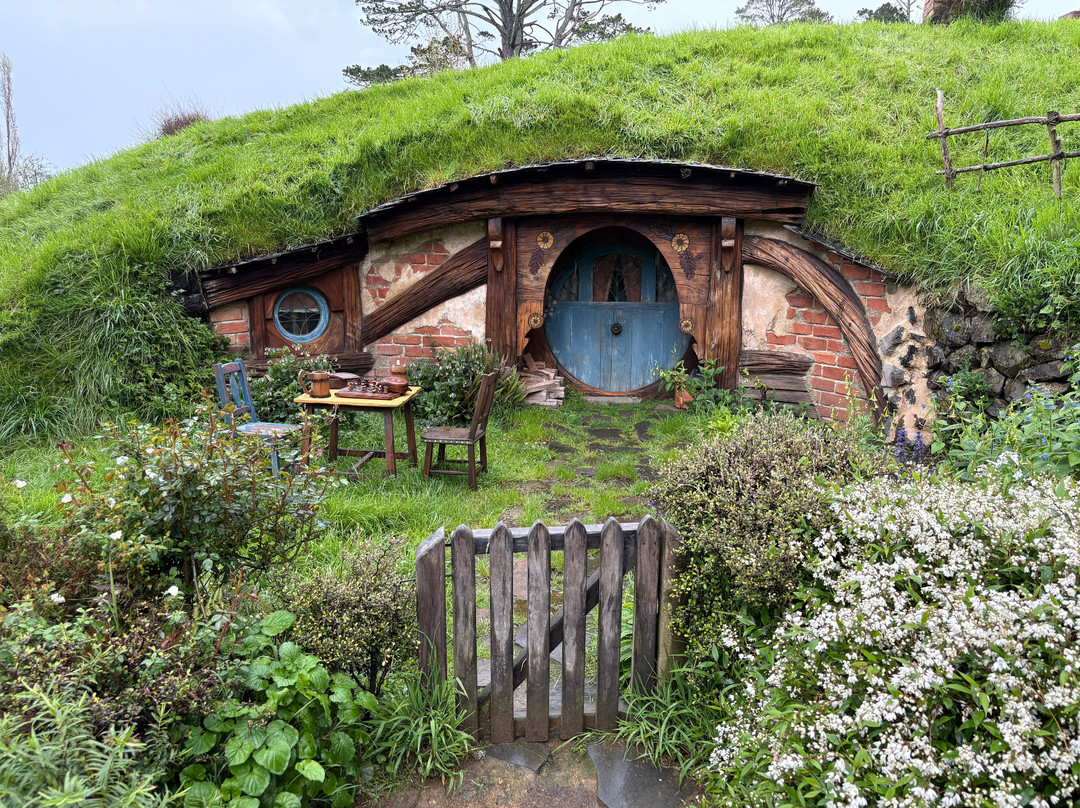 Red Carpet Tours-奥克兰中心地区必去景点