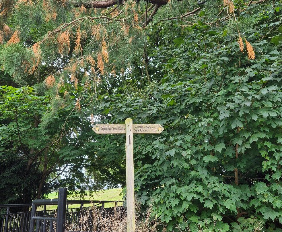 Gala Policies Community Woodland