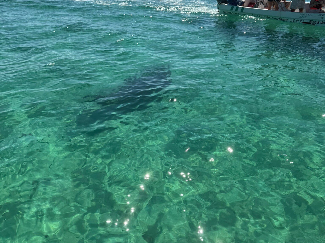 Santi Tour-普拉亚德尔卡曼必去景点