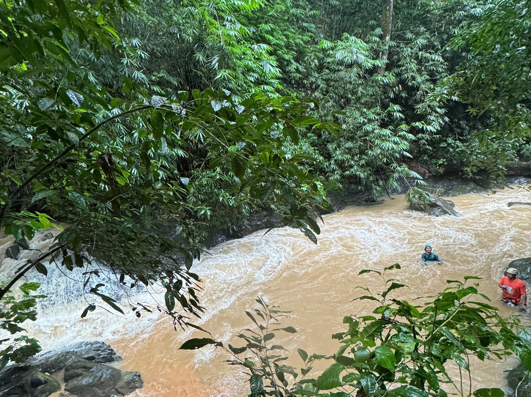 Uvita Paradise Adventures ( Zip Line)-乌维塔必去景点