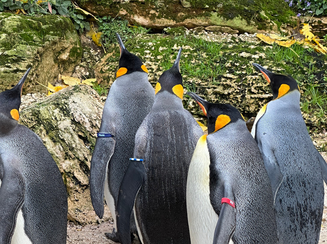 鸟园-水上伯顿必去景点