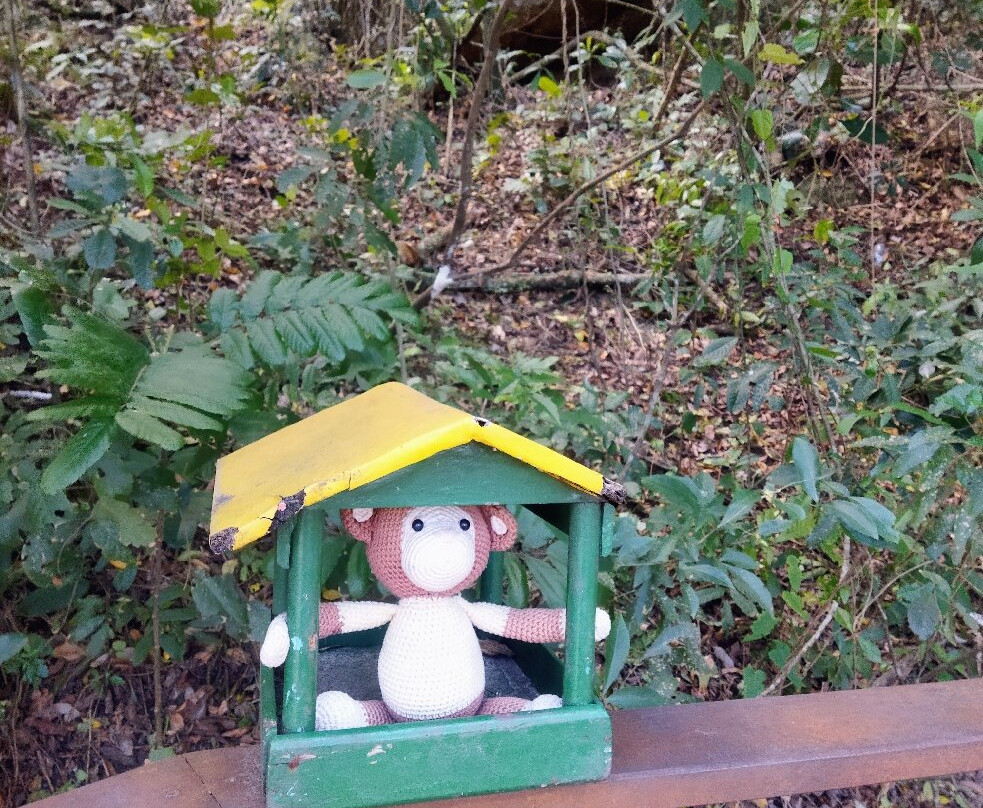 Trilha do Morro do Macaco-Bombinhas必去景点