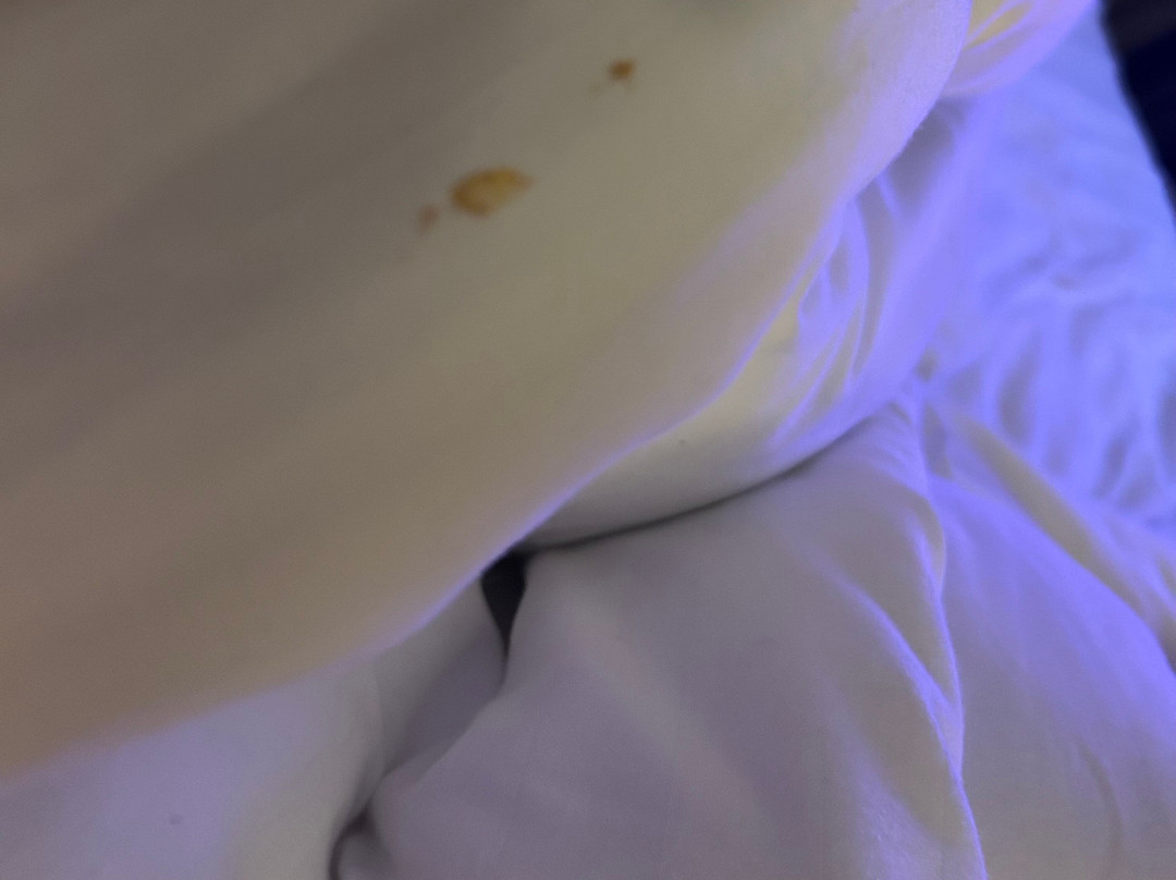 Ruthin Castle Hotel主图