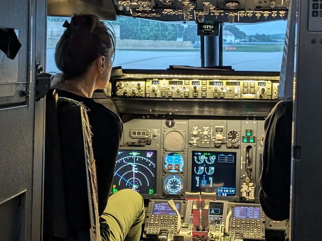 Deeside Flight Simulators-埃尔斯米尔港必去景点