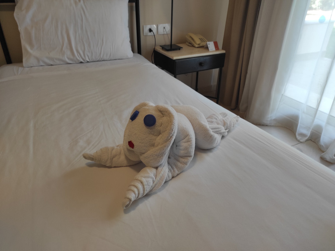 JAZ Neo Almazino, Almaza Bay主图