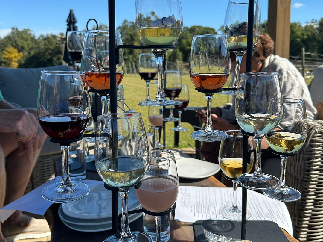 Southern Grove Vineyard-费尔霍普必去景点