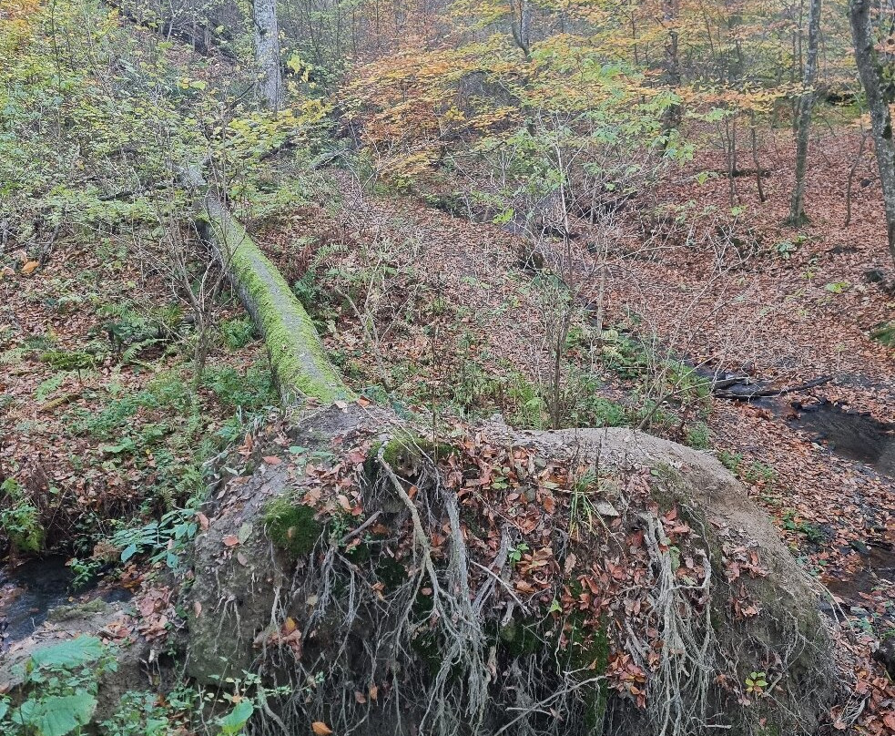 Zerkalo Rock-Goryachy Klyuch必去景点