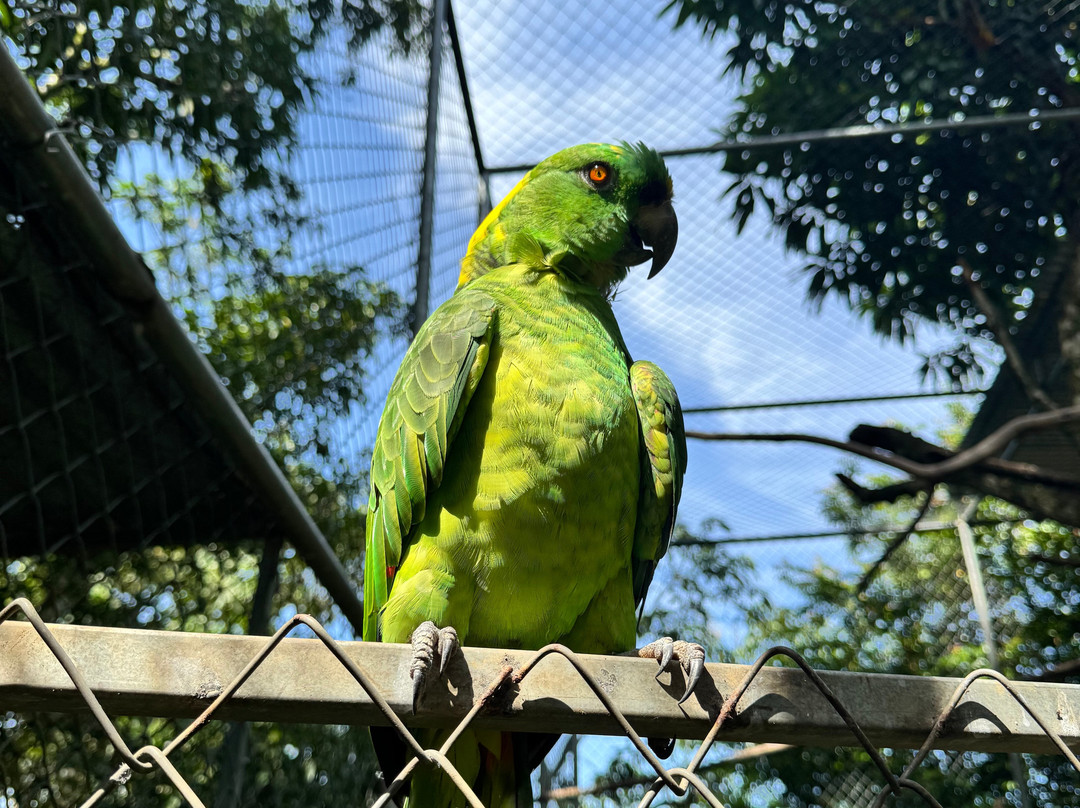 Costa Rica Animal Rescue Center-Turrucares必去景点