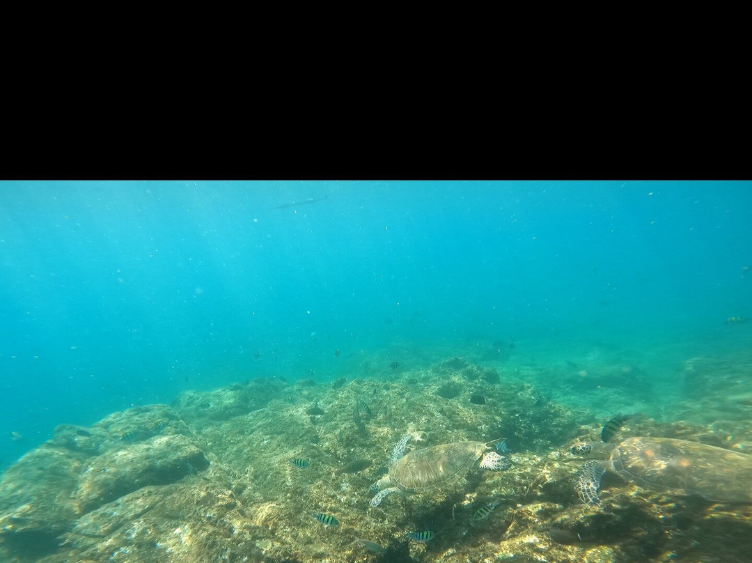 Nemo Diving Center - Fujairah-Dibba Al Fujairah必去景点