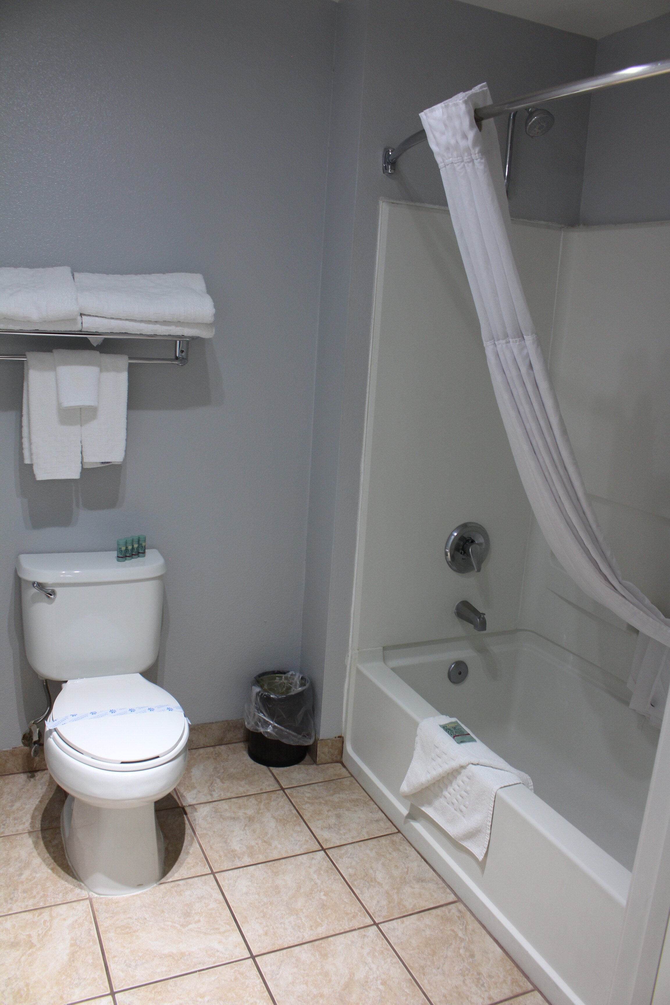 Best Western Americana-浴室