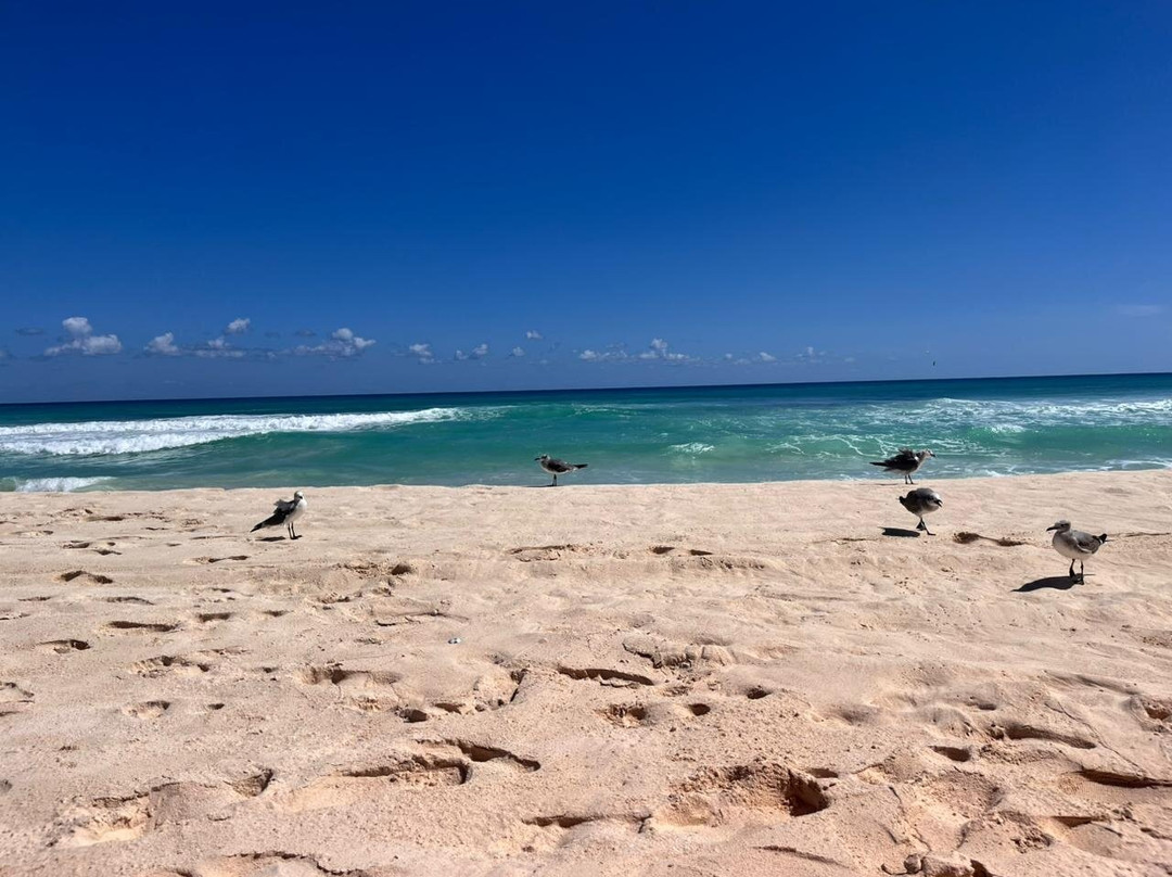 Playa Marlín-坎昆必去景点