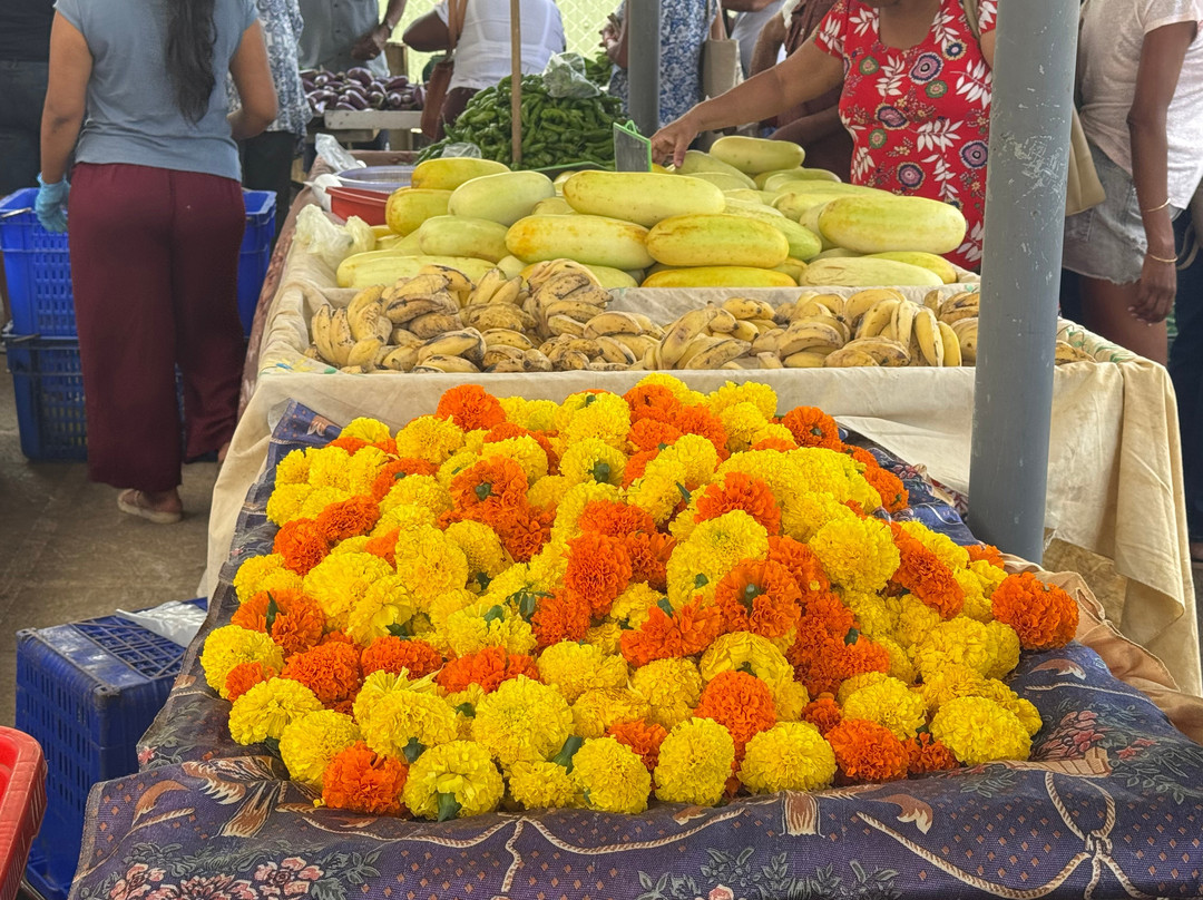 South Adventure Experience Ltd-钱米格兰尼尔必去景点