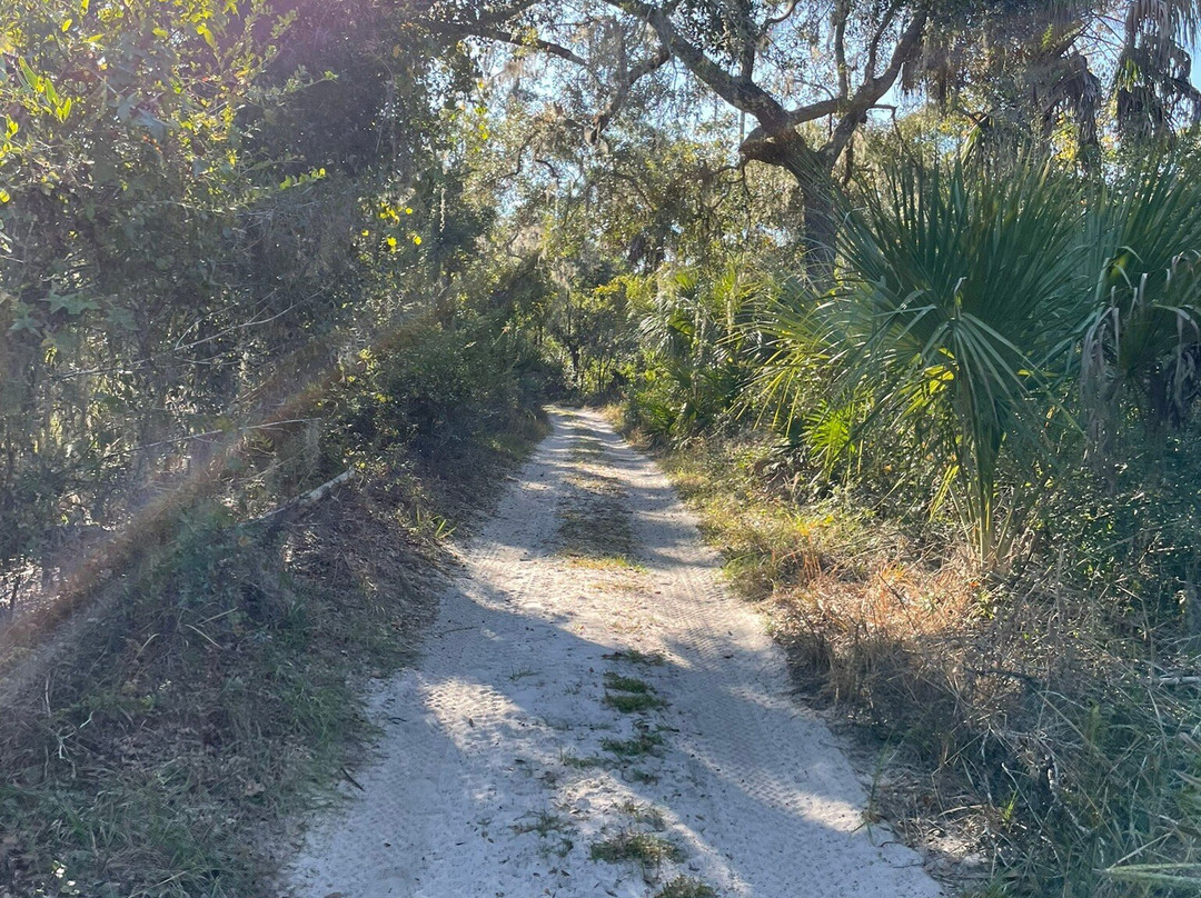 Paynes Creek Historic State Park-Bowling Green必去景点