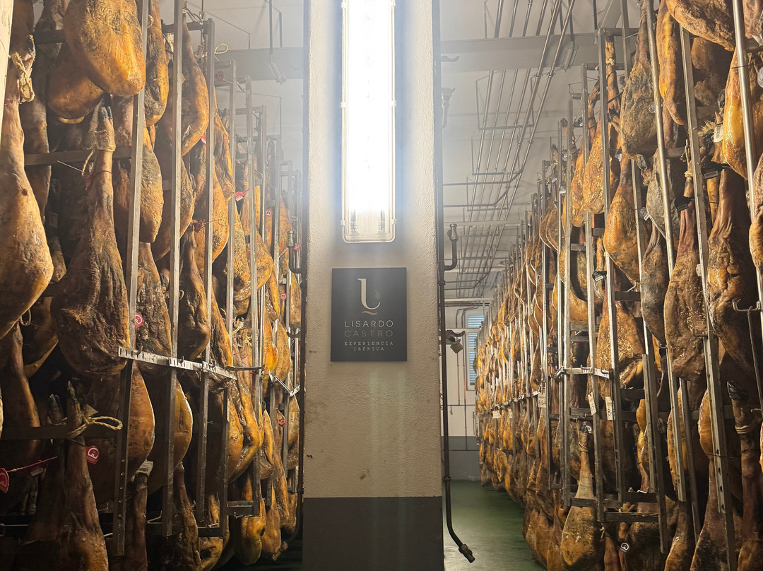 Lisardo Castro Gourmet Experience-Guijuelo必去景点