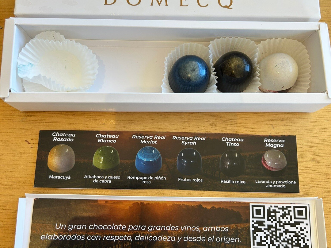 Bodegas Domecq-恩塞纳达必去景点