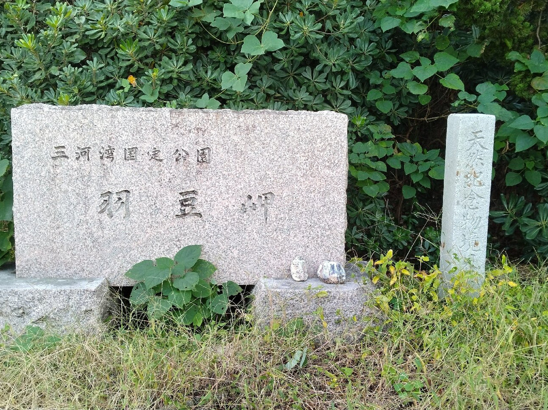 Morozaki Hazu Cape (Hazu Jinja Shrine)-南知多町必去景点