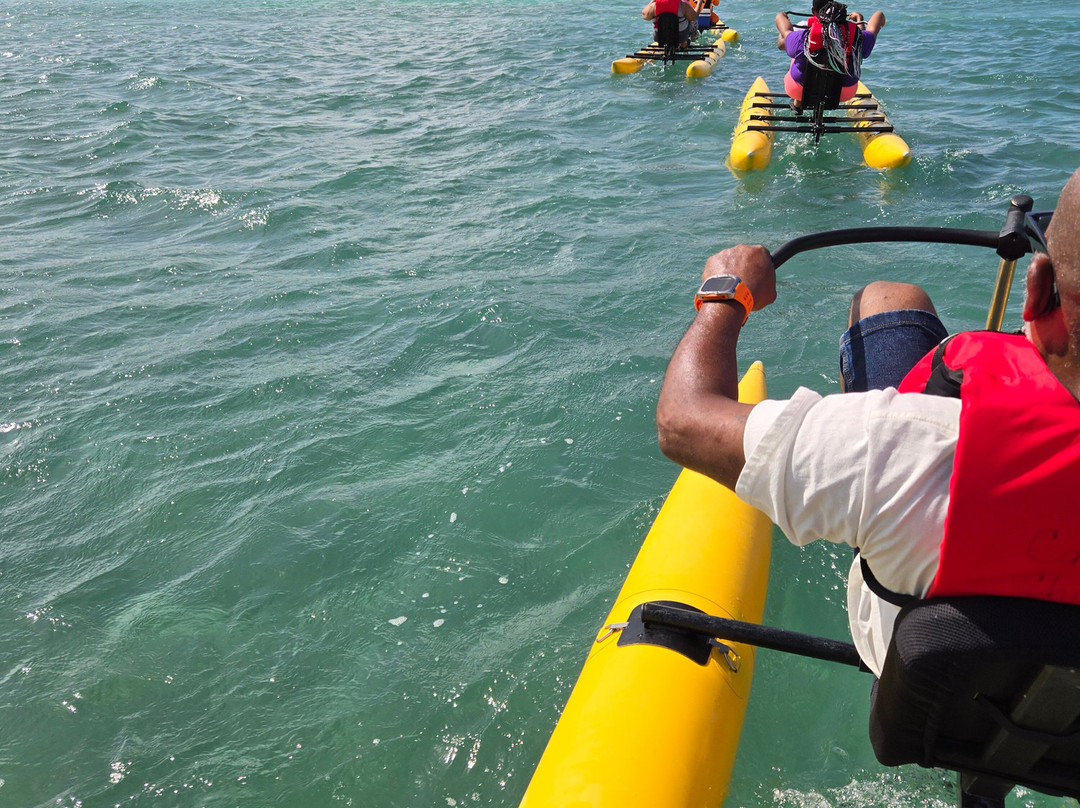 Los Cayos Adventure Chiliboats Waterbike in La Parguera-La Parguera必去景点