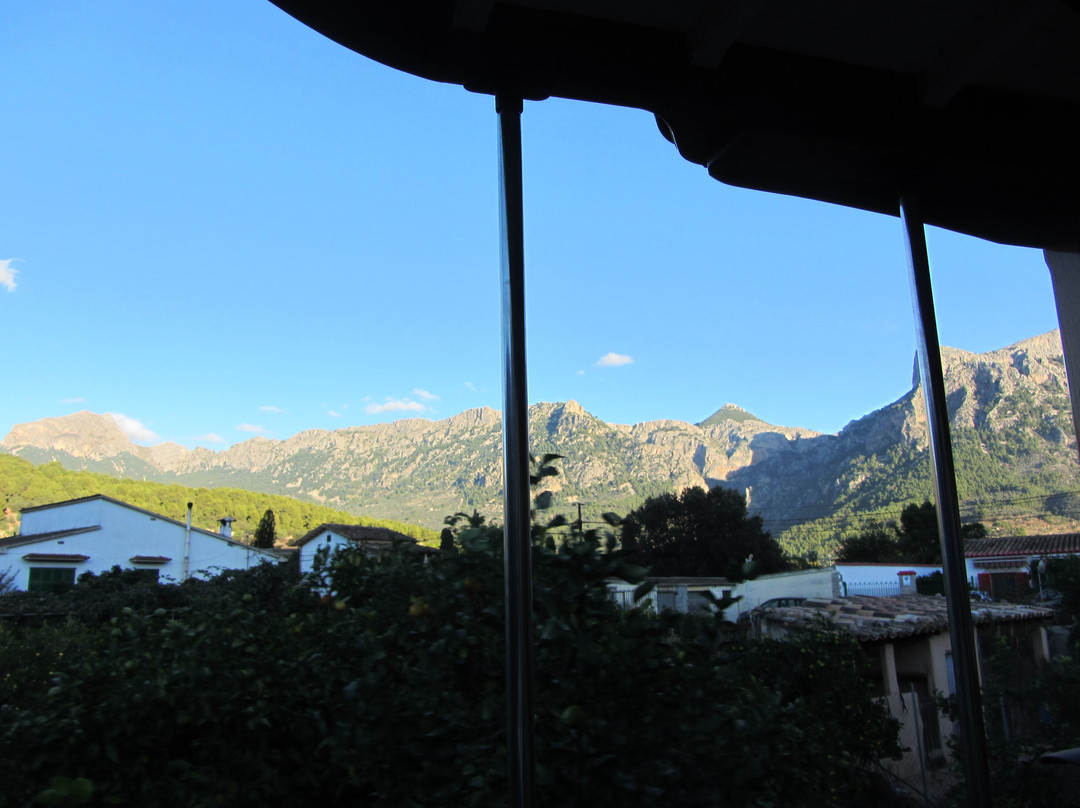 Tram de Sóller-索列尔港必去景点