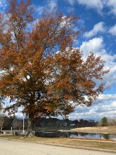 Swasey Parkway-埃克塞特必去景点