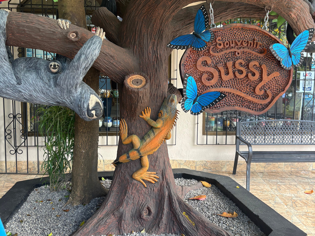 NexusTours-圣何塞必去景点