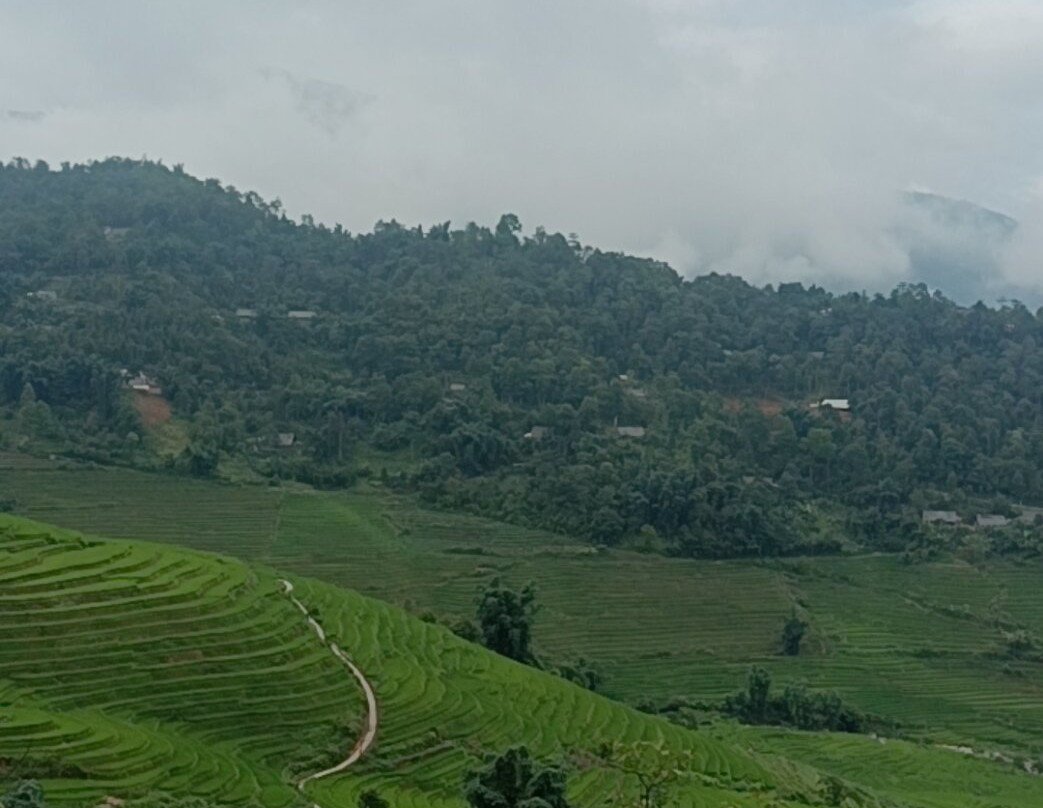 Tavan Dragon House主图