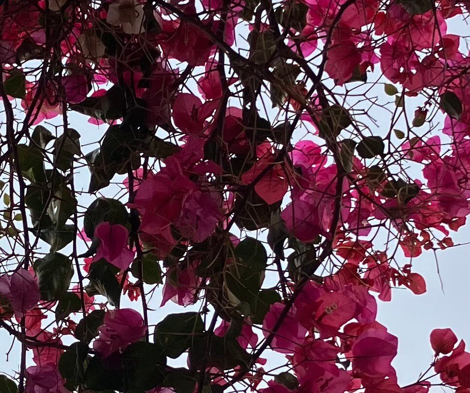 克罗齐迪马耳他酒店主图