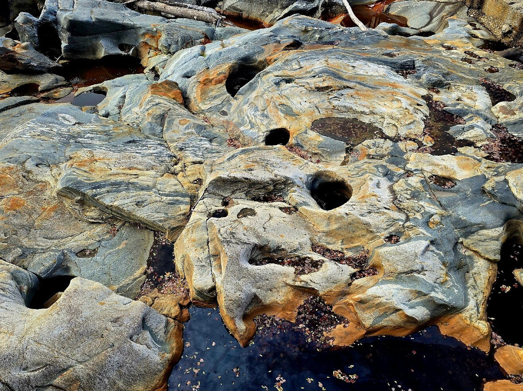 Glacial Potholes-Shelburne Falls必去景点