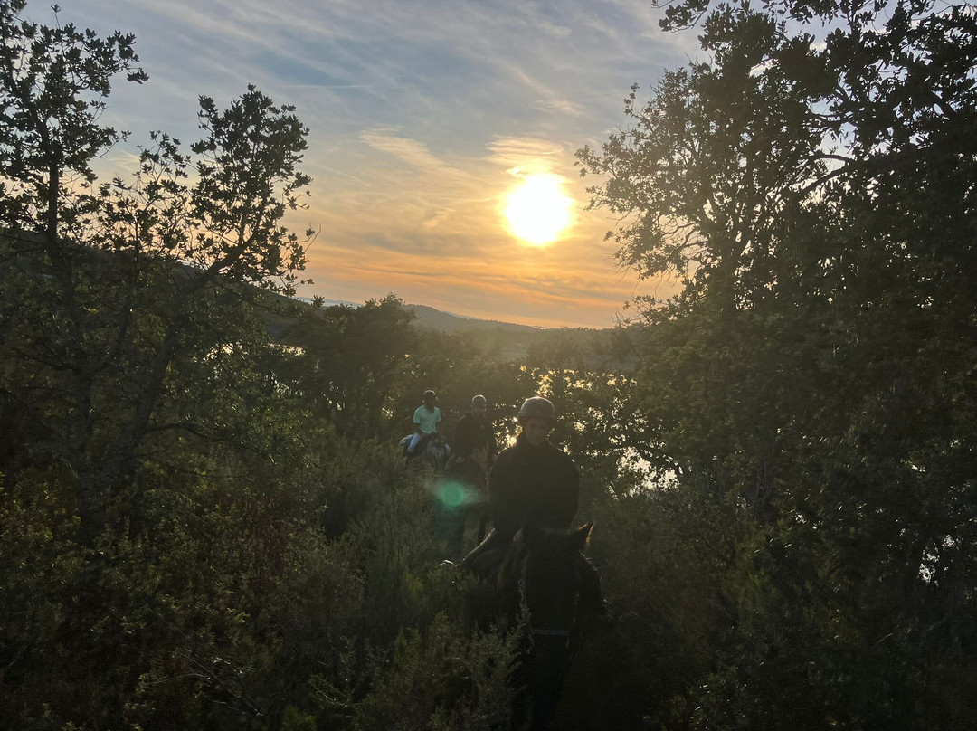 Aventure cheval. Randonnées à cheval-La Crau必去景点