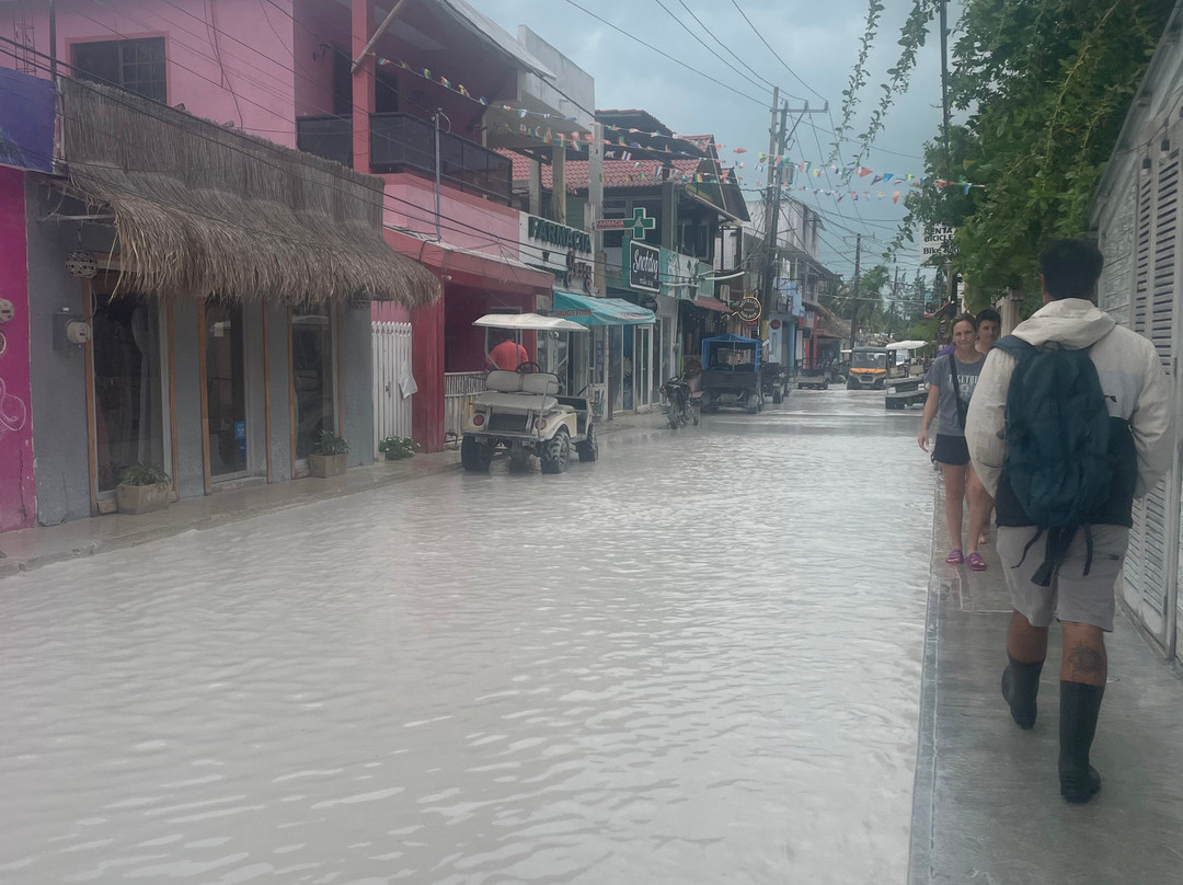Isla Holbox-Holbox Island必去景点
