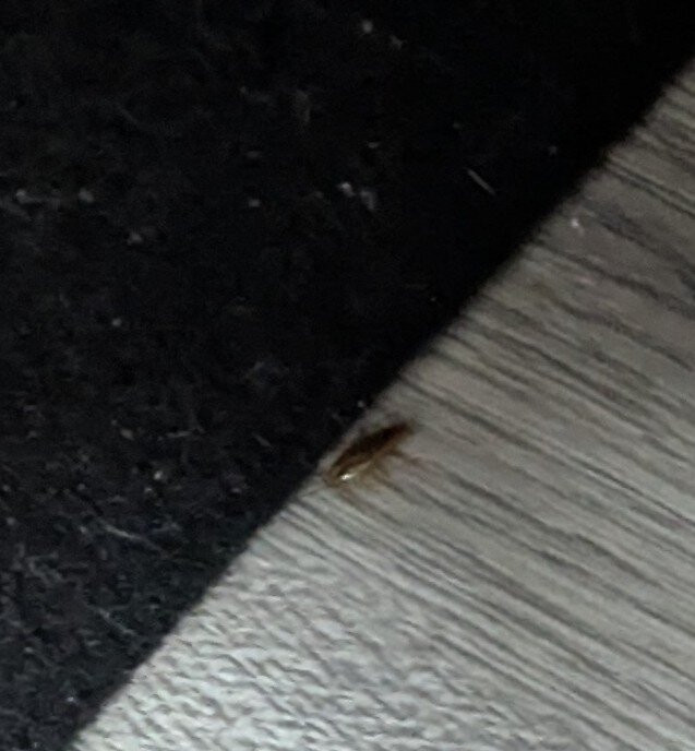 Baymont by Wyndham Peoria主图