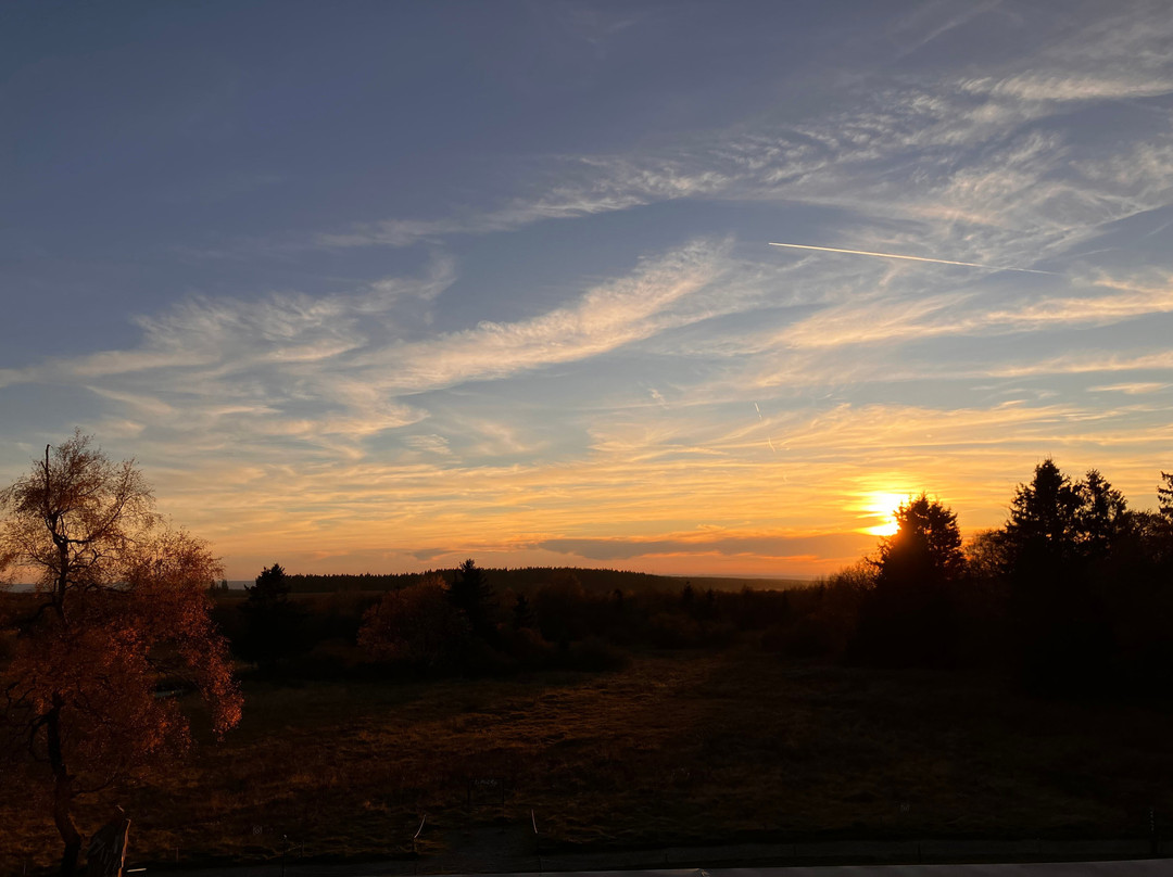 Le Mont Rigi Nature Hotel主图