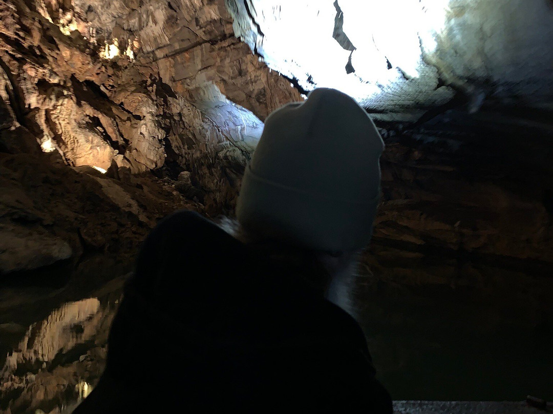 Penn's Cave & Wildlife Park-中心大厅必去景点