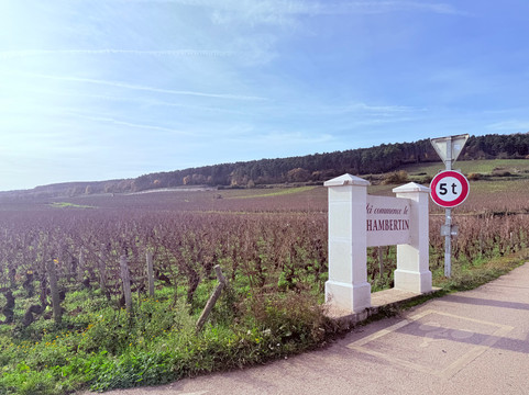 Safari Tours-博讷必去景点