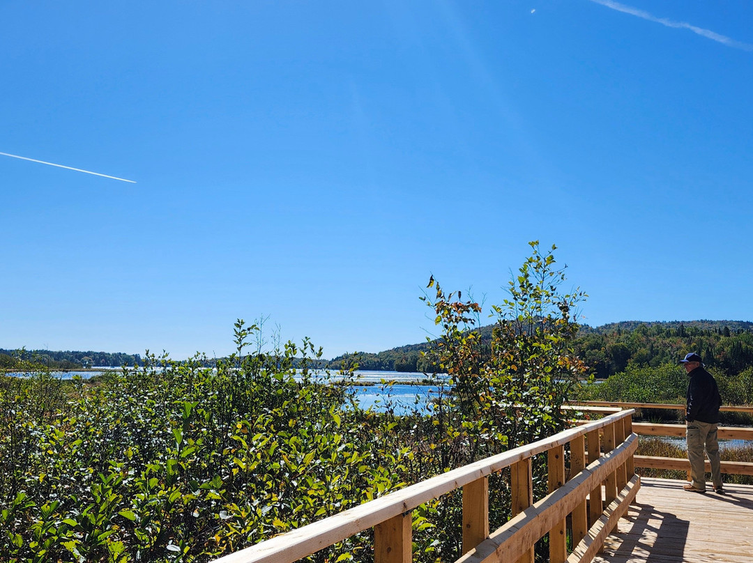 Les Marais du Nord-Stoneham-et-Tewkesbury必去景点