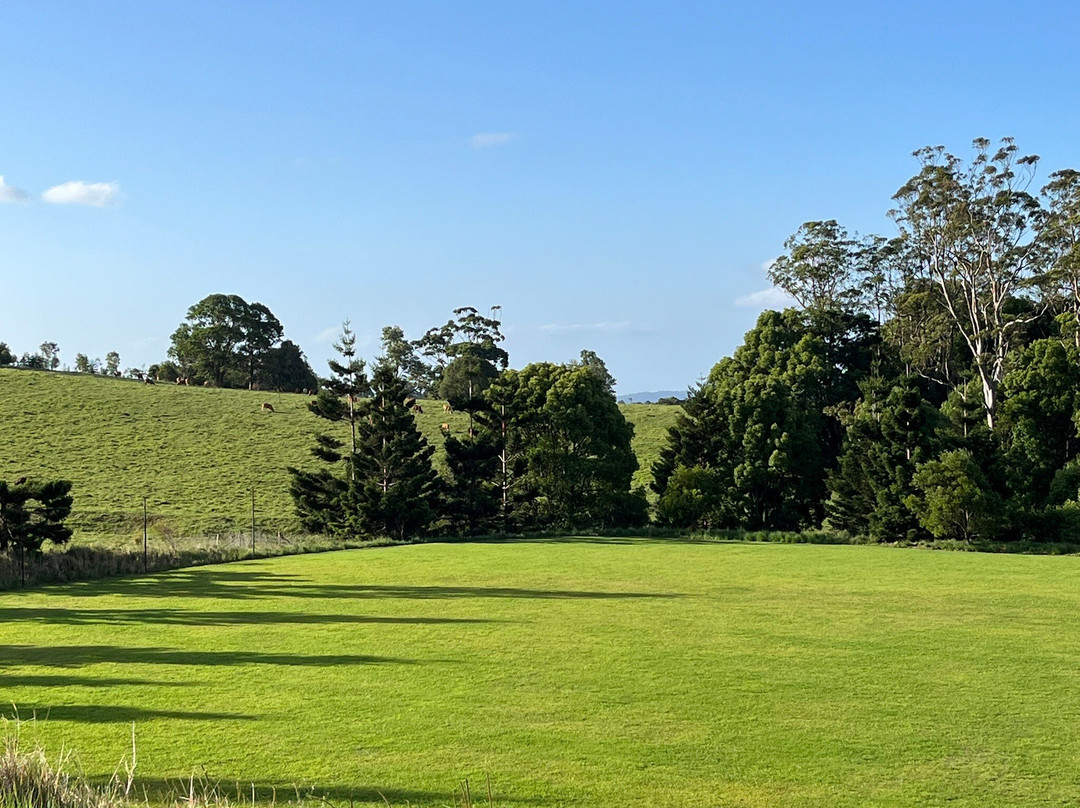 Beechmont Estate主图