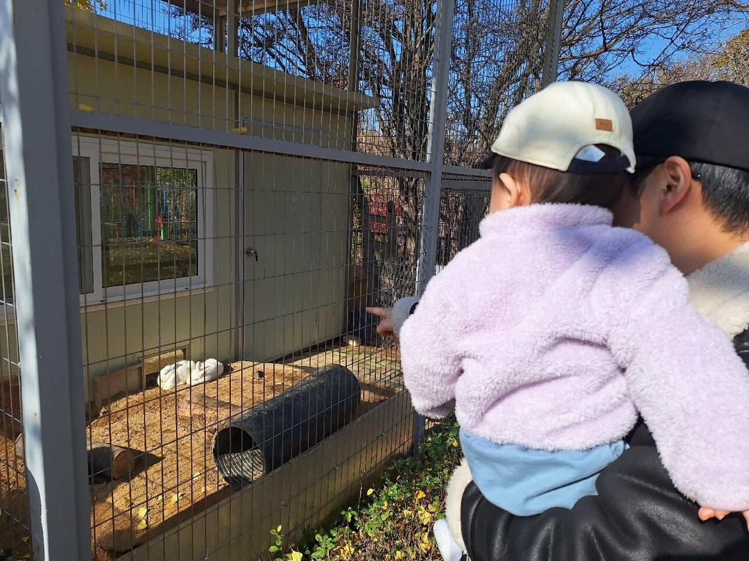 Incheon Grand Park-仁川必去景点