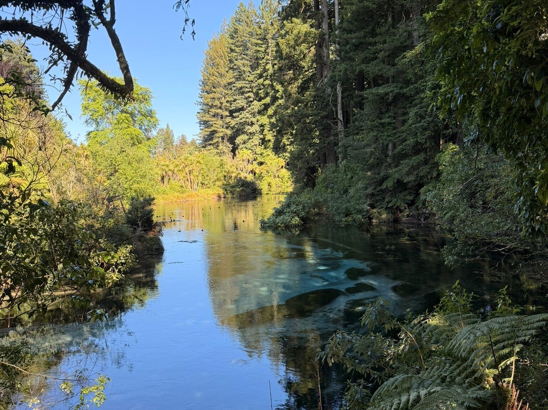 Hamurana Springs Nature Reserve-哈姆拉娜必去景点