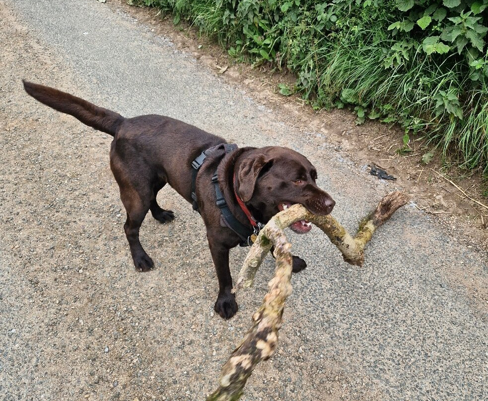 The Old Inn Hawkchurch主图