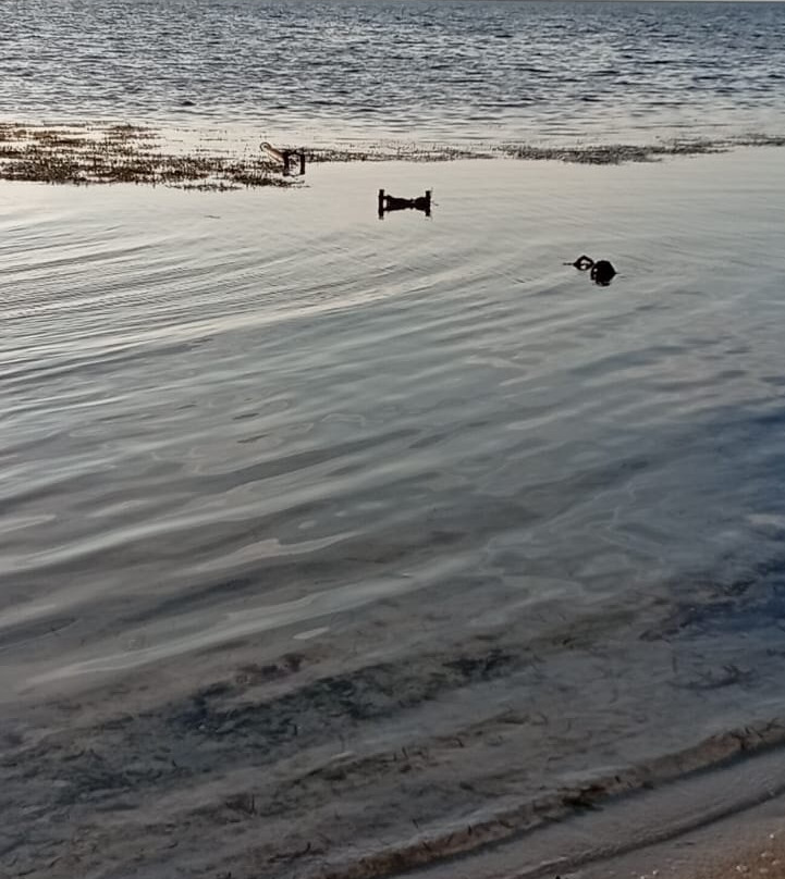 Dhangethi Atoll-Dhangethi Island必去景点