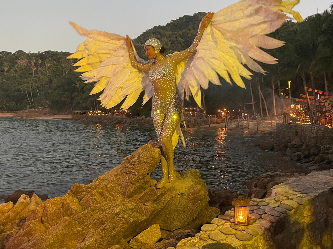 Rhythms of the Night by Vallarta Adventures-瓦拉塔港必去景点