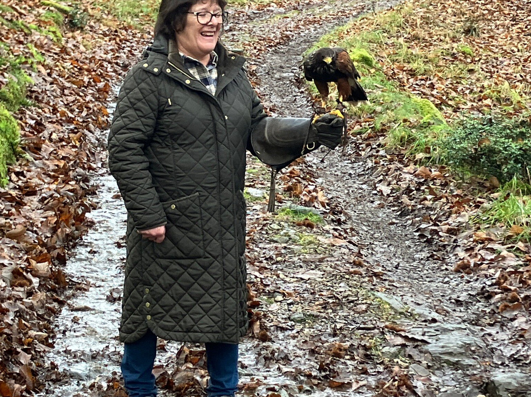 Lake District Falconry-温德米尔必去景点