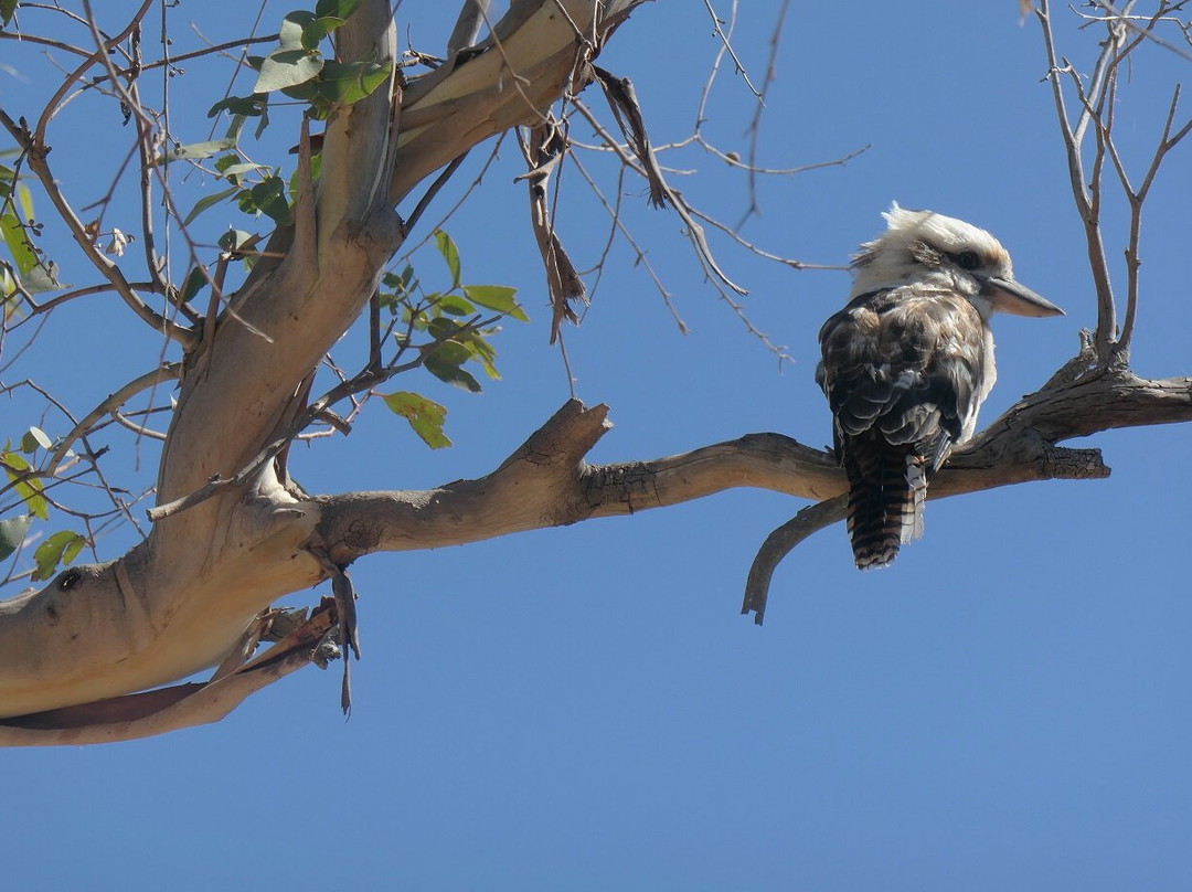 Teddy's Lookout-洛恩必去景点