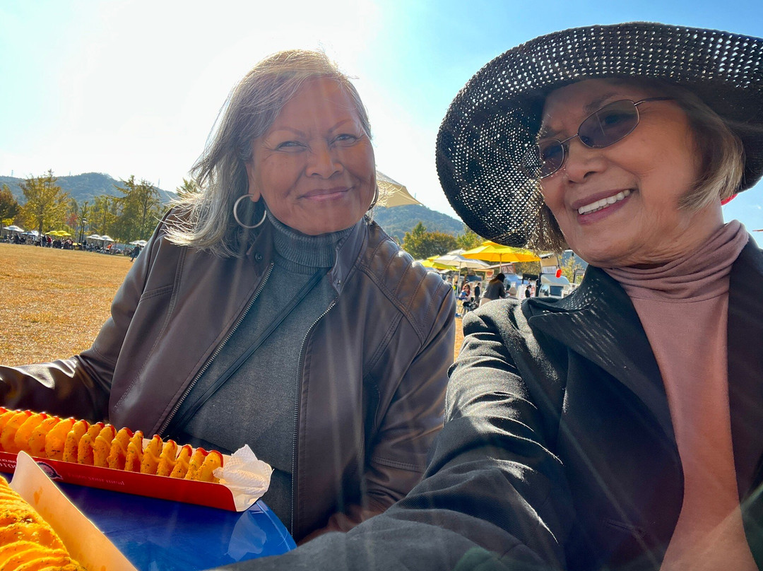 Gangcheon Island-骊州郡必去景点